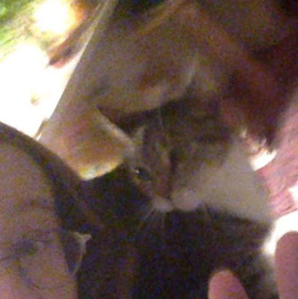 Meet your Posher, Bowen